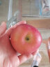 乡语小吖新疆阿克苏冰糖心苹果 9斤(75-79mm)22-24枚嘎啦富士新鲜水果生鲜 晒单实拍图