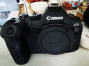 佳能（Canon）r6二代/r6三代全画幅微单相机 vlog视频数码高清R62代 EOS R6 Mark II专业微单 R6二代拆机身+EOS R原装转接环 官方标配【不含内存卡基础配件 推荐购买套餐 实拍图