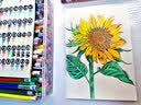 霹雳马（PRISMACOLOR）彩色铅笔 彩铅笔 单只黑色油性画笔 绘画写生 美国三福霹雳马PC935美术写生画画笔 实拍图