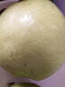 西域香妃 新疆库尔勒香梨 新鲜时令水果梨子 特大果 整箱礼盒装 6KG整箱/单果160-200克 实拍图
