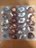 吉利莲比利时进口经典贝壳巧克力11款造型零食生日礼物女礼盒250g 实拍图