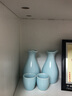 泥印 青瓷六壶六杯酒具套装陶瓷白酒杯烈酒杯一口杯小酒杯家用分酒器 T92-01C 酒具套装-礼盒装+手提袋 实拍图