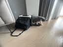 petsfit宠适猫包便携外出大容量猫咪背包透气宠物包斜挎包狗出行包可折叠 雪花绿【单拓展】 M【16斤内50*30*33cm】 实拍图