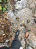FOOTOPPO高筒雨鞋女成人雨靴女士高帮防滑水靴水鞋长筒防水靴子雨鞋子胶鞋 黑色 36 码 实拍图