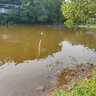 创威精灵路亚竿雷强远投泛用路亚纺车轮水滴轮微物马口竿抛竿钓鱼竿 1.65m 精灵-溪UL-直柄-MF调 实拍图