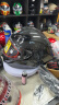 AGV PISTA GP RR碳纤维头盔男四季通用全盔摩托机车赛车跑盔限定版 GLOSSY CARBON（亮黑） L（适合58-59头围） 实拍图