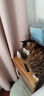 GO！SOLUTIONS无谷三种鱼全猫粮8磅/3.63kg多肉成猫幼猫通用原装进口  新鲜效期 实拍图