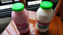 李子园甜牛奶乳饮料原味饮品225ml*20瓶整箱学生儿童奶营养早餐奶整箱 实拍图