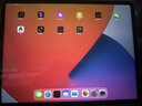 Apple苹果平板电脑 ipadPro2020/2021 11寸12.9寸 2代 四代 二手平板电脑 21款iPad Pro 12.9寸 5G插卡版 128G WiFi版  99成新 实拍图