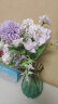 吕姆克仿真花假花花束摆件客厅装饰酒会年会布置杂花玫瑰紫色1支6095 晒单实拍图