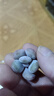 多肉组合盆栽阳台盆栽喜阳植物新手福利按图发货品种花卉好养 可爱嘟嘟四种【不带盆土】 实拍图