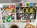 看里面情境认知洞洞书：不一样的公园 实拍图
