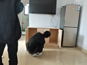 赤贝【包安装】电视柜实木组合欧式边柜小户型收纳地柜电视柜落地 120*40*70原木【三抽两门】 实拍图