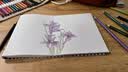 辉柏嘉（Faber-castell）油性水溶性彩色铅笔绘画城堡系列套装美术画画工具儿童学生节日生日礼物艺考专用36色48色72色 60色（纸盒）水溶+60孔笔帘 实拍图