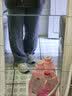 依俪乌300斤加肥加大码女裤特大码高腰天丝牛仔裤女夏季薄款宽松遮胯 蓝色 S 【建议88-100斤】 实拍图