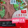 太行深处【河北特产馆】大红枣脆枣 枣类零食蜜饯果干年货送礼 保定特产 红枣混装礼盒1026g 实拍图