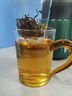 金灶（KAMJOVE）LX-310保温焖茶壶 白茶焖泡壶普洱泡茶壶茶水分离泡茶器800ml 绿色（木壶） 实拍图