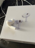 Apple苹果airpodspro2代苹果无线蓝牙耳机二代主动降噪耳机 AirPods Pro2代闪电接口+6期免息 实拍图
