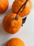四川眉山丑橘不知火 高甜无渣 果园现发 优质产区柑橘 5斤特大果(单果80mm+) 晒单实拍图