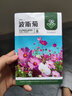 美外 花草花卉种子 室外花种籽子四季播种开花盆栽庭院花种子 波斯菊【1包约1000粒】 实拍图