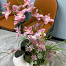 蝴蝶兰仿真花盆栽假花插花套装客厅餐桌酒店桌面花艺装饰花艺摆件 白瓷+浅粉花 实拍图