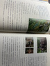 巴蜀石窟：藏在乡野的中华文明（阿来/黎方银/魏学峰联袂推荐，《中国国家地理》摄影师历时16年打造，中国石窟的另一种可能，颠覆你对石窟的以往想象） 实拍图