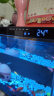 米家（MIJIA）小米米家智能生态鱼缸半年免换水专业级背滤系统全色域灯光补仓一次三月无忧出差旅行必备 晒单实拍图