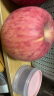 珍妹黄金帅苹果粉面沙苹果宝宝老人吃的刮泥苹果4.5-5斤中大果10-12个 4.5-5斤黄金帅苹果 实拍图
