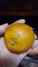正宗塔罗科血橙当季新鲜水果中华红心橙手剥果冻甜橙 9斤带箱 60mm-70mm精品果 晒单实拍图