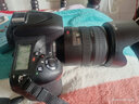 Nikon尼康D610/D700/D750/D810单机高端专业数码全画幅二手单反相机D800套机 99新D750单机身 官方标配 实拍图