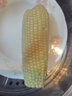 抱抱你 【大棒300g】头茬黄白玉米粘黏甜糯黑玉米棒营养代餐苞米玉米 【单根300g以上】白糯玉米10支装 实拍图