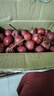 晟星园直接吃的新鲜兴隆秋金星小金星山里红甜山楂果 精品果60-70粒/斤 实拍图
