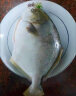 翔泰 冷冻海南金鲳鱼1.2kg /3-4条  海鱼  生鲜鱼类  海鲜水产 晒单实拍图