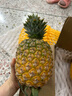 沃鲜谷【顺丰】芒果凤梨 树上熟 非金钻凤梨菠萝  香甜多汁 新鲜水果 4-4.5斤 大果2个 实拍图