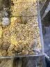 稀壤恩施豆皮儿特色早餐纯手工制作现烙米粉粉条凉粉湿豆皮干豆皮 3斤新鲜白豆皮真空 实拍图