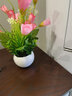 花艺赫家饰仿真花郁金香塑料花小盆栽室内家居餐桌摆件客厅办公桌装饰假花 粉色玉兰苞+白色花瓶套装 实拍图