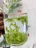 鸾雀珍稀白茶2025年明前茶采摘新茶口粮新茶正宗春茶浙江原产耐泡绿茶 500g一斤 实拍图