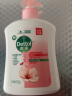 滴露（Dettol）健康抑菌洗手液滋润倍护500g 消毒抑菌99.99% 儿童适用不含酒精 实拍图