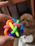 SLPC狗玩具球发声耐咬磨牙宠物狗狗玩具球七彩铃铛球泰迪金毛法斗宠物逗狗球玩具 小号直径5.5cm左右 实拍图