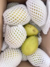 京鲜生 新疆特级库尔勒香梨5kg特级 单果120g以上 生鲜水果 实拍图