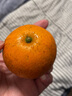 赣南脐橙 江西地区特产手剥橙 当季新鲜橙子水果 纽荷尔脐橙橙子 农夫山泉17.5°橙钻石果3kg-纸箱装 实拍图