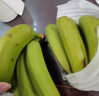 觅莱云南高山甜香蕉 香甜软糯青绿皮芭蕉粉蕉皇帝当季蕉新鲜水果 一级青香蕉 5斤 晒单实拍图