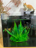 森森（SUNSUN）鱼缸造景水族装饰水草植物摆件水族箱造景仿真水草前中景草 ZJ-104B 实拍图