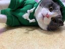 狗狗衣服小中型犬泰迪博美猫咪秋冬新款宠物服饰抓绒卫衣卡通比熊 青蛙卫衣(抽绳款) L(适合8-11斤) 实拍图