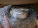 洪湖农家 洪湖莲藕 新鲜脆藕 火锅食材 生鲜  买菜 新鲜蔬菜  新花藕 脆藕1斤普快 实拍图