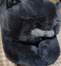 野兽派家居（tbh）懒蓝猫长条抱枕靠垫卧室夹腿办公室抱枕沙发可爱腰枕车载抱枕 晒单实拍图