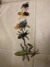 玛奇乐（MECHILE）仿真昆虫动物蜘蛛蚂蚁蝉七星瓢虫蝎子模型玩具宝宝认知生日礼物 巴西红丝绒蜘蛛 实拍图