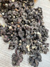 修年堂 拐枣干500g 枳椇子 新鲜晒干拐枣 泡酒料拐枣酒 拐枣果万寿果 实拍图