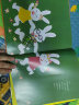 眼镜兔子 3-6岁 蒲蒲兰绘本 实拍图