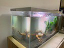 喜高超白玻璃鱼缸智能鱼缸免换水小型客厅水族箱一体式过滤氧气鱼缸 白-鱼缸+造景+加热棒 600*268*322mm 实拍图